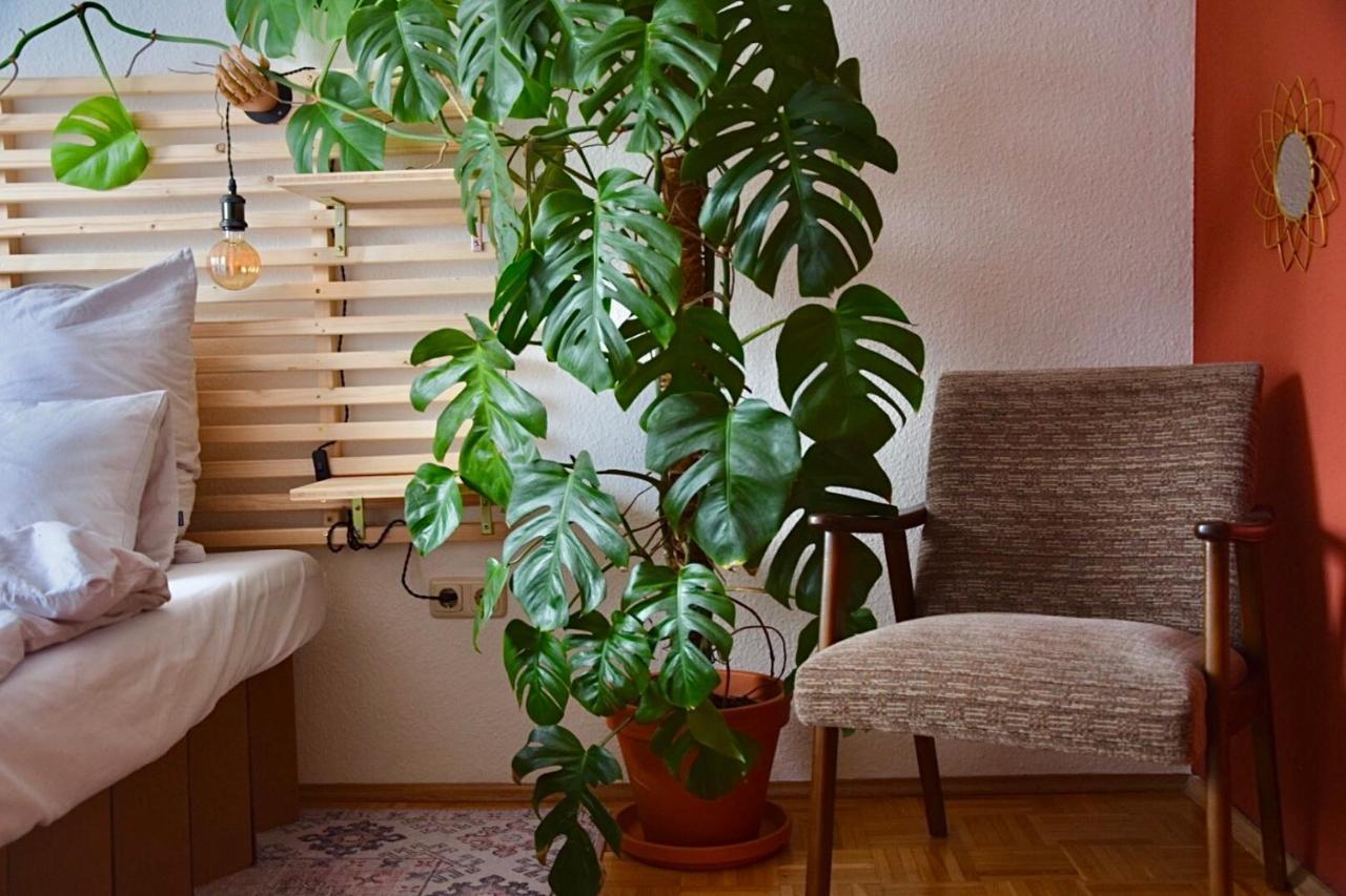 إسن Greenbnbs: Cozy Urban Jungle In The City Centre المظهر الخارجي الصورة