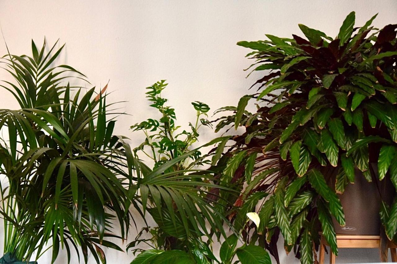 إسن Greenbnbs: Cozy Urban Jungle In The City Centre المظهر الخارجي الصورة
