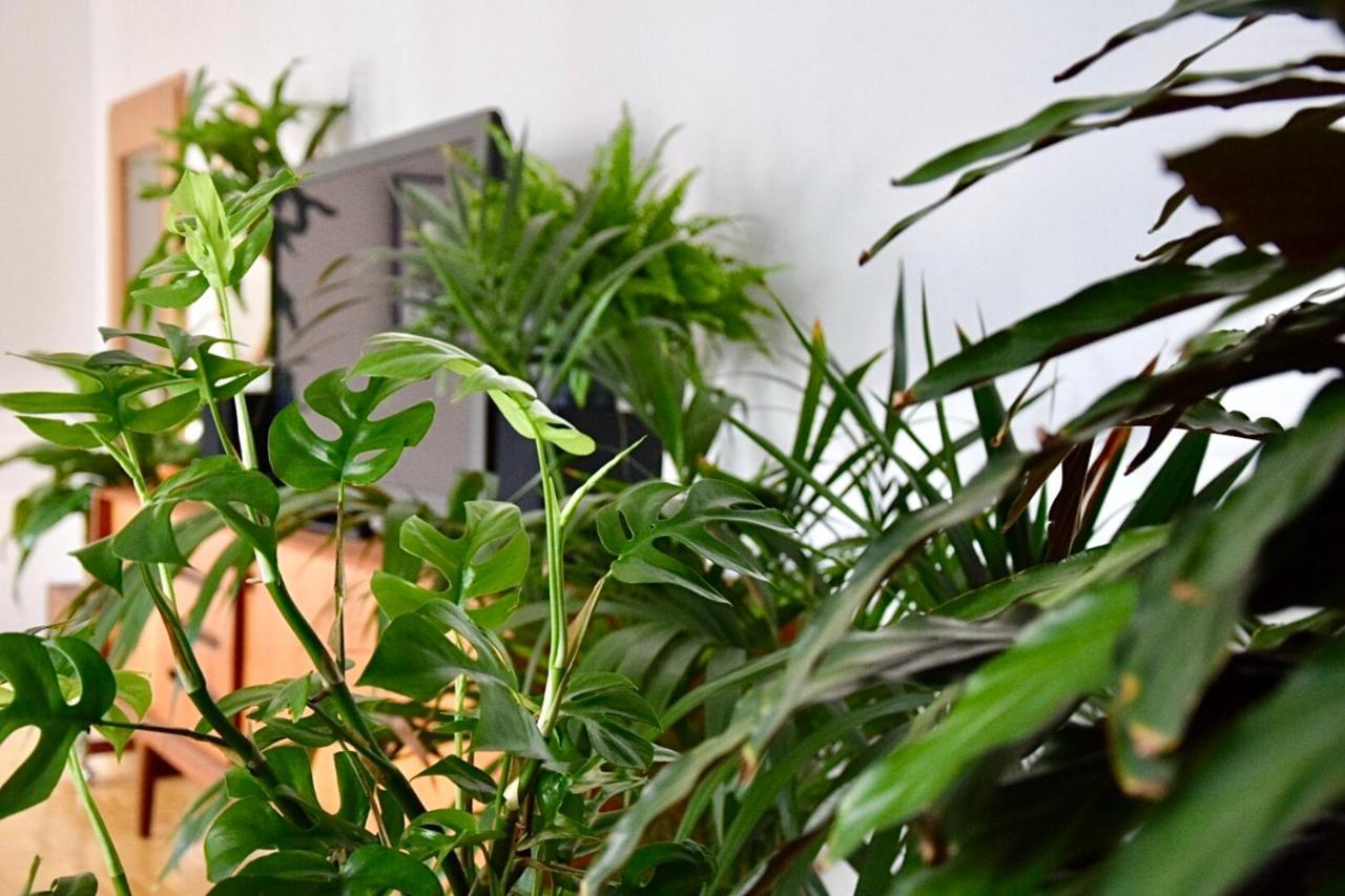 إسن Greenbnbs: Cozy Urban Jungle In The City Centre المظهر الخارجي الصورة